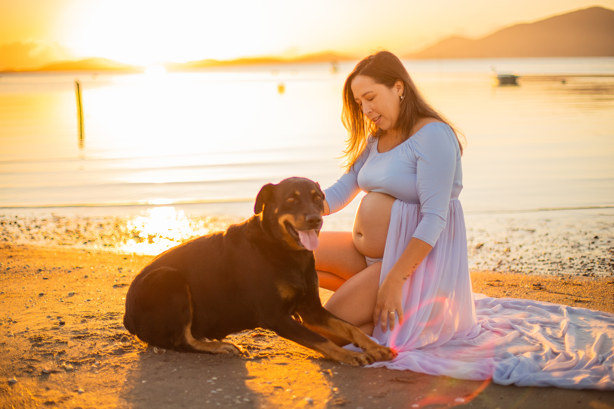 ensaio de gestante com pet