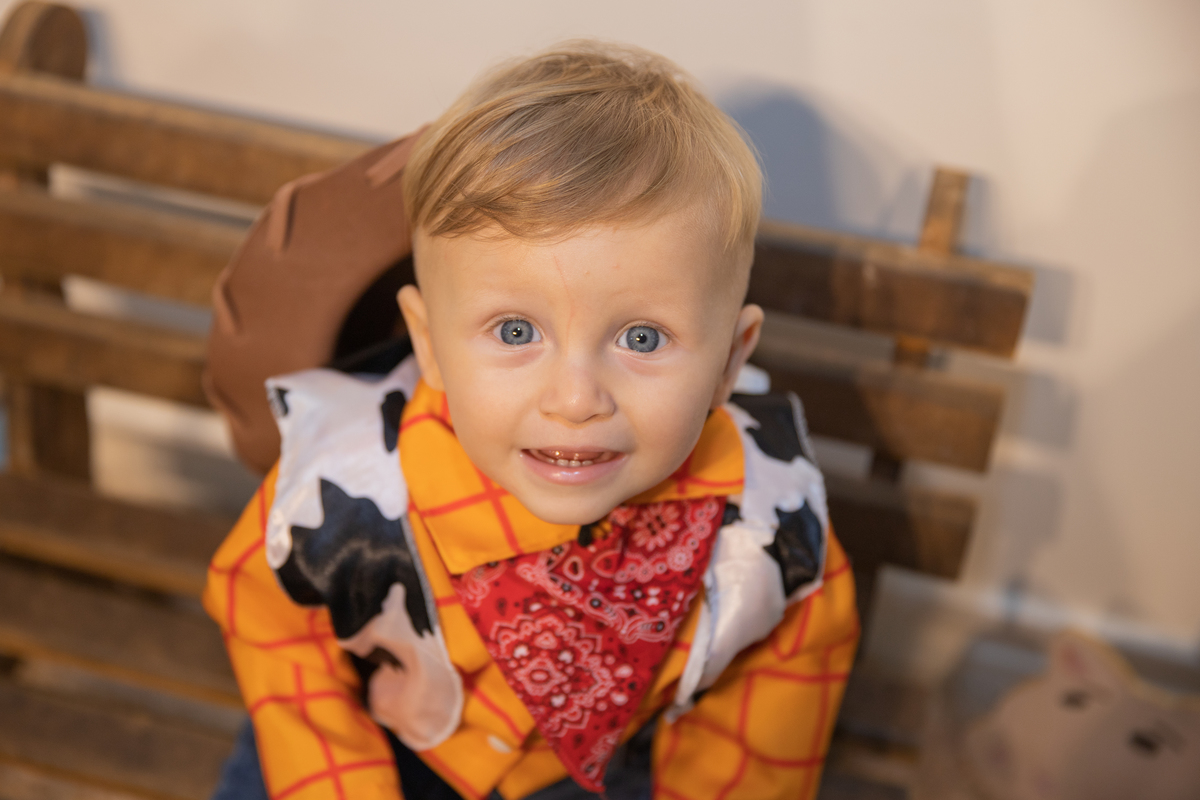 aniversário toy story