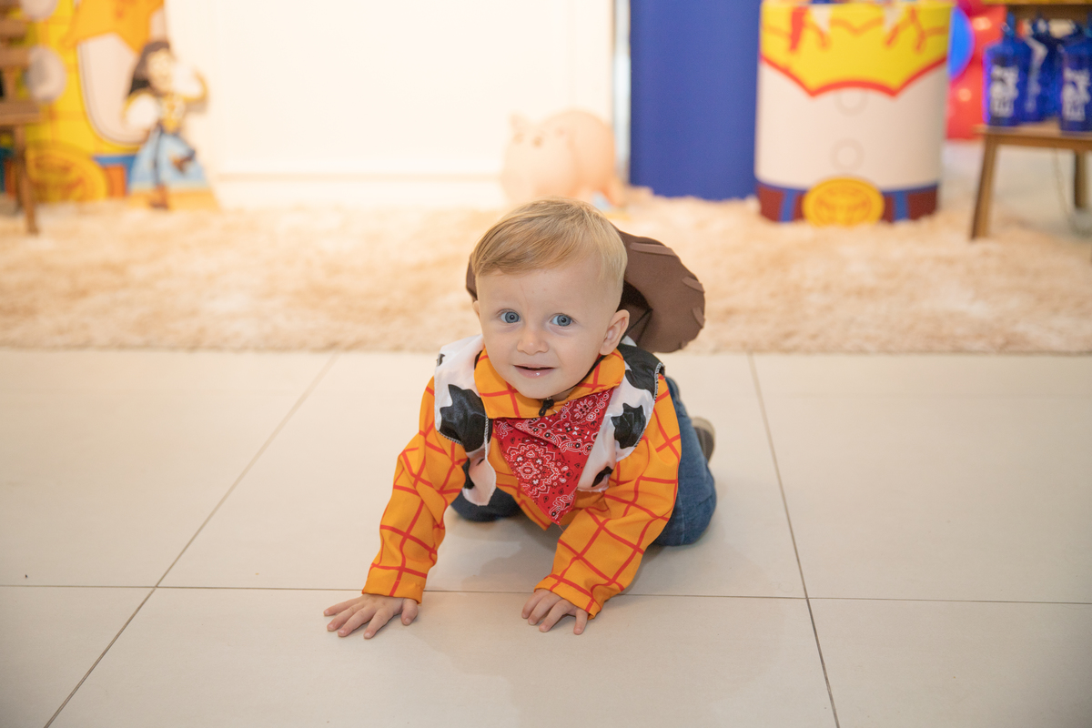 aniversário toy story