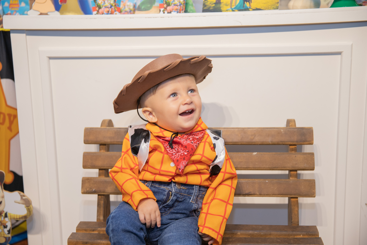 aniversário toy story