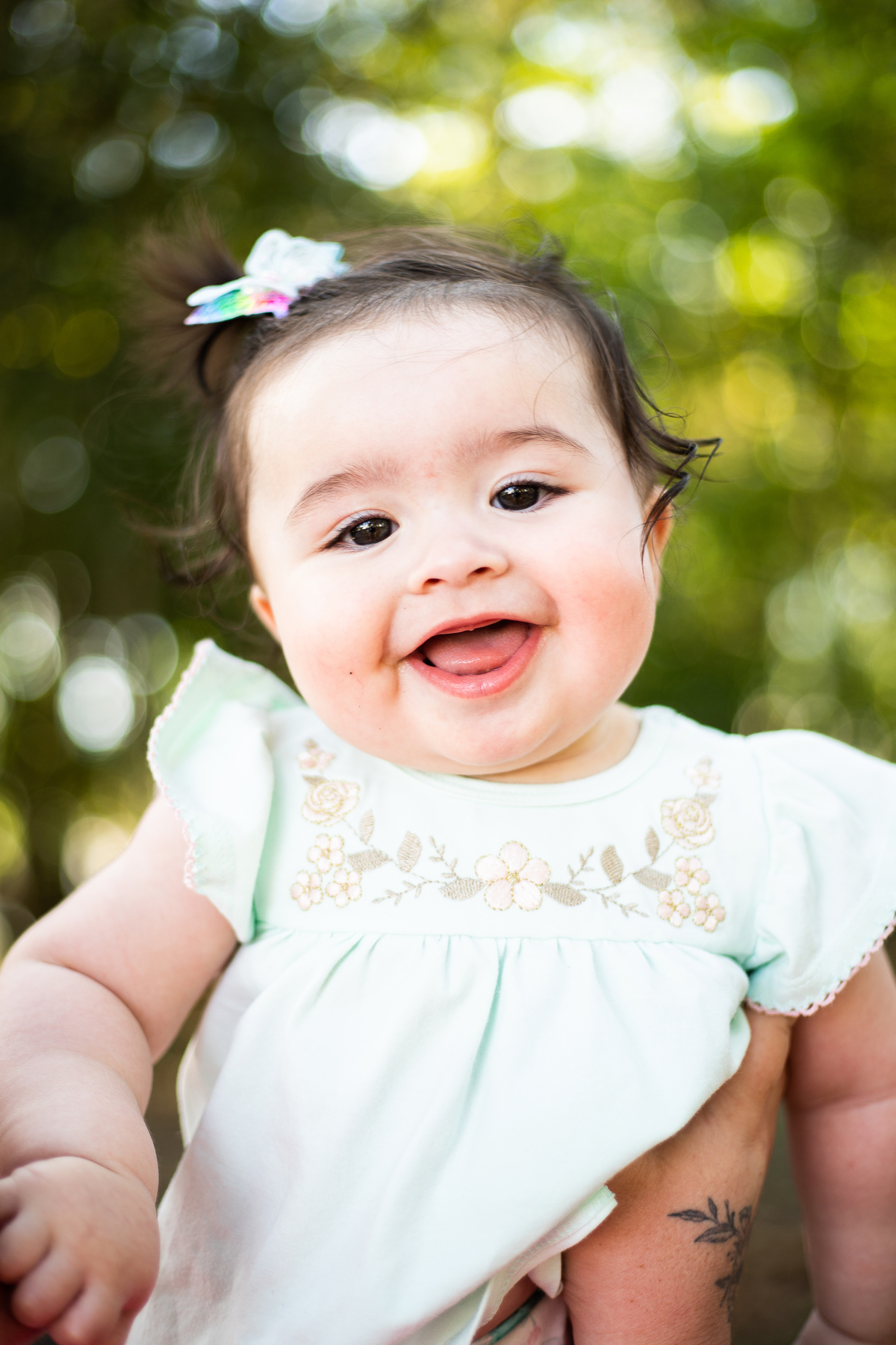 parque do aririu palhoça