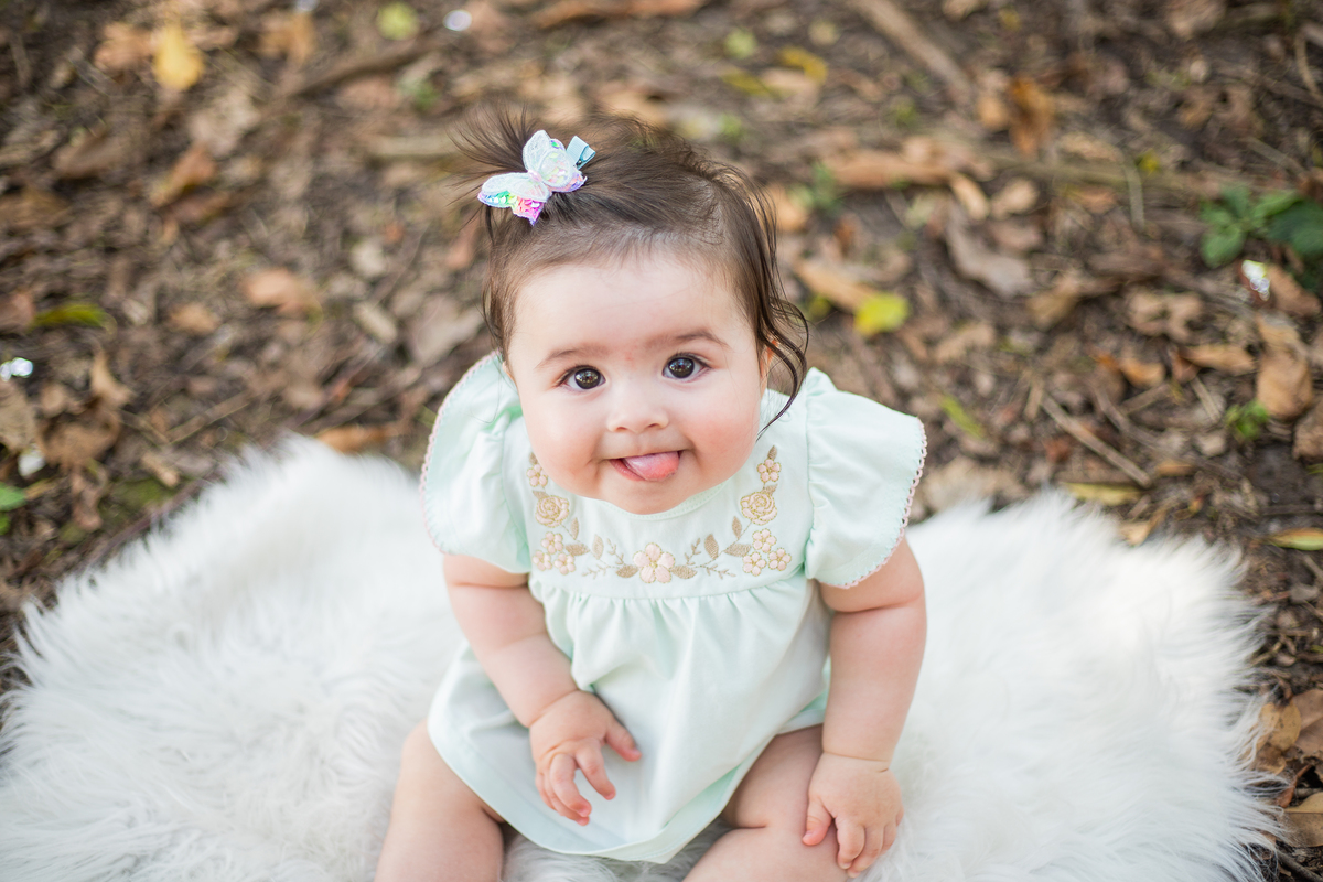 parque do aririu palhoça