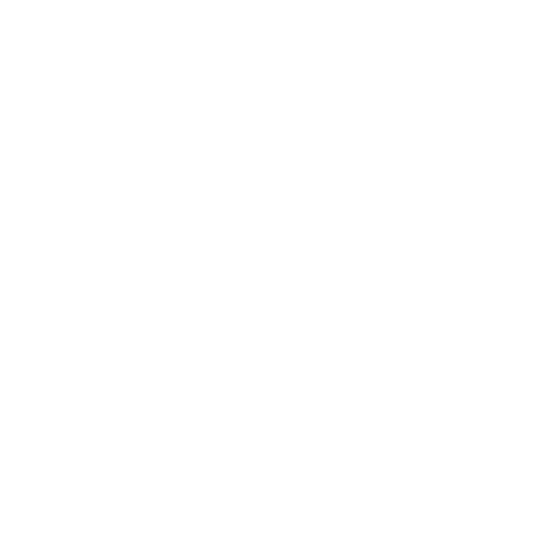 Logotipo de Dhi Vieira
