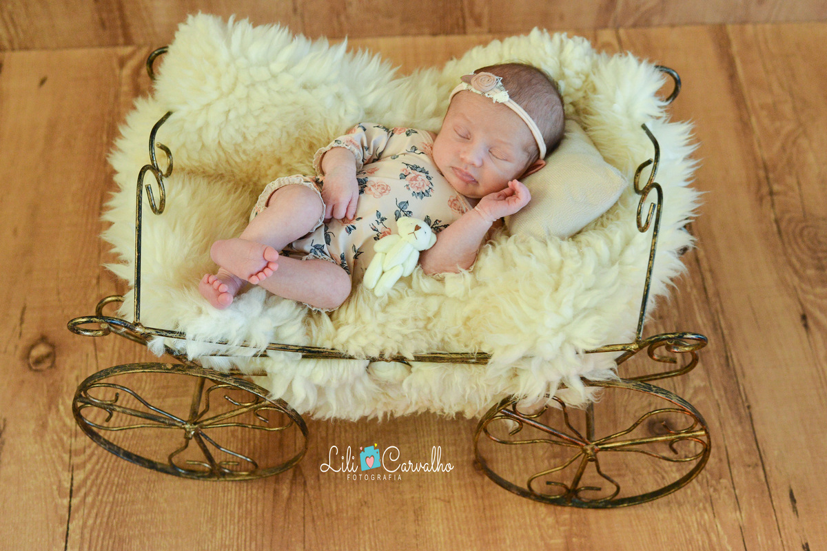 fotografia de newborn da Elisa, feita em estudio Lili Carvalho em Maringá fofa 