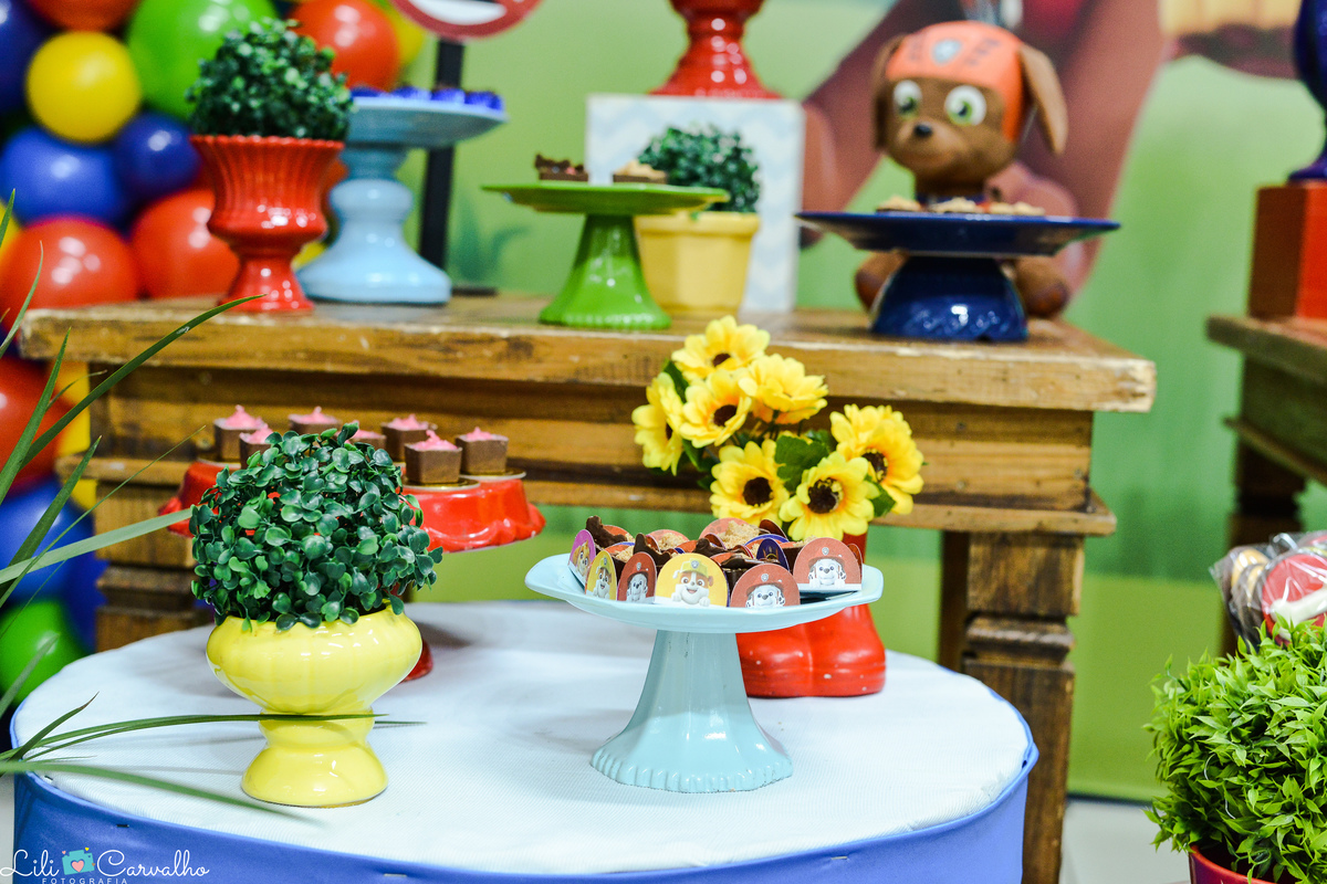 fotografia de aniversario infantil em Maringa, decoracao 