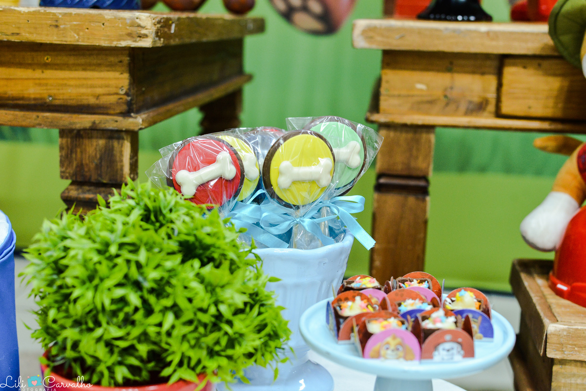 fotografia de aniversario infantil em Maringa, decoracao 5