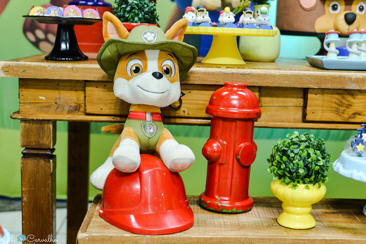 fotografia de aniversario infantil em Maringa decoracao 7