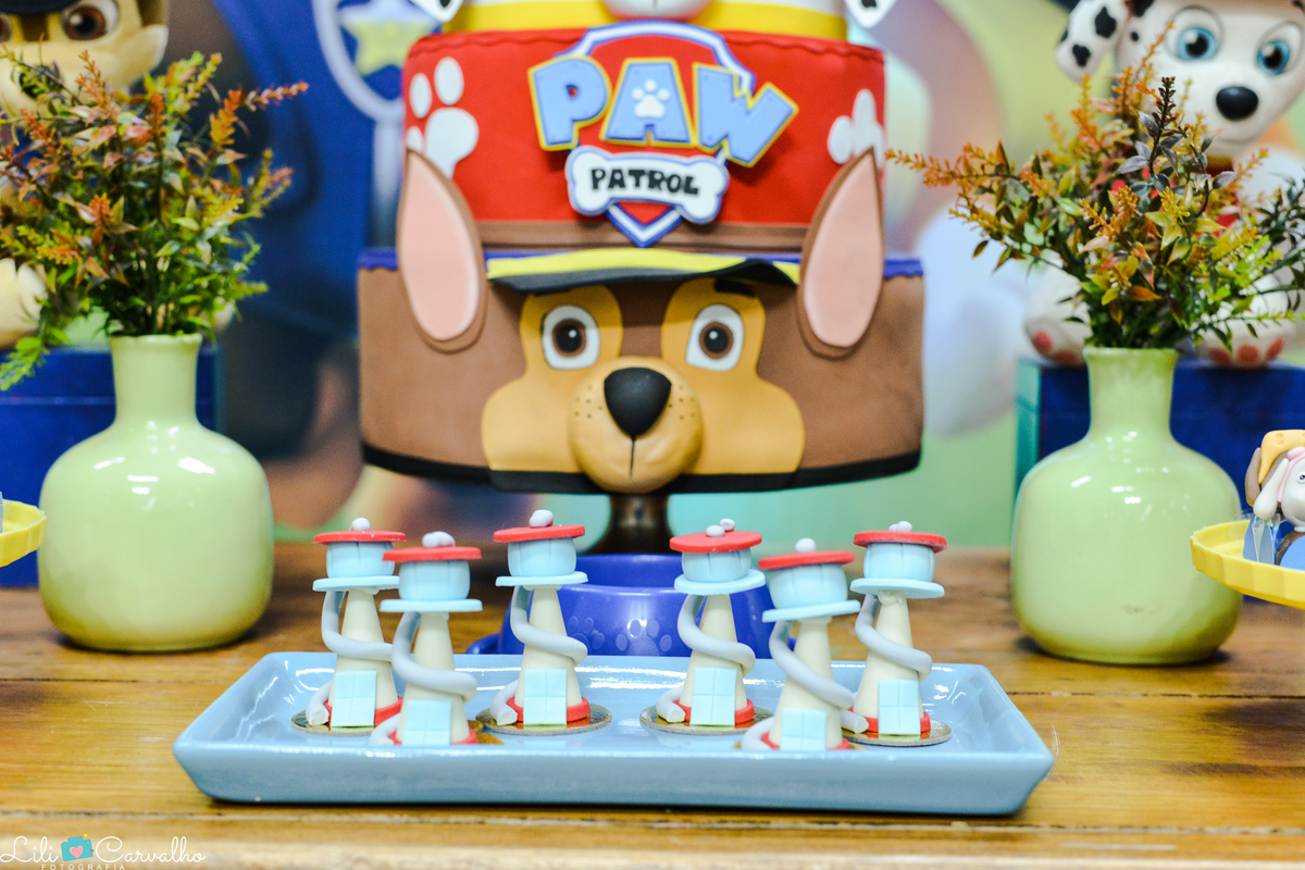 fotografia de aniversario infantil em Maringa decoracao 8