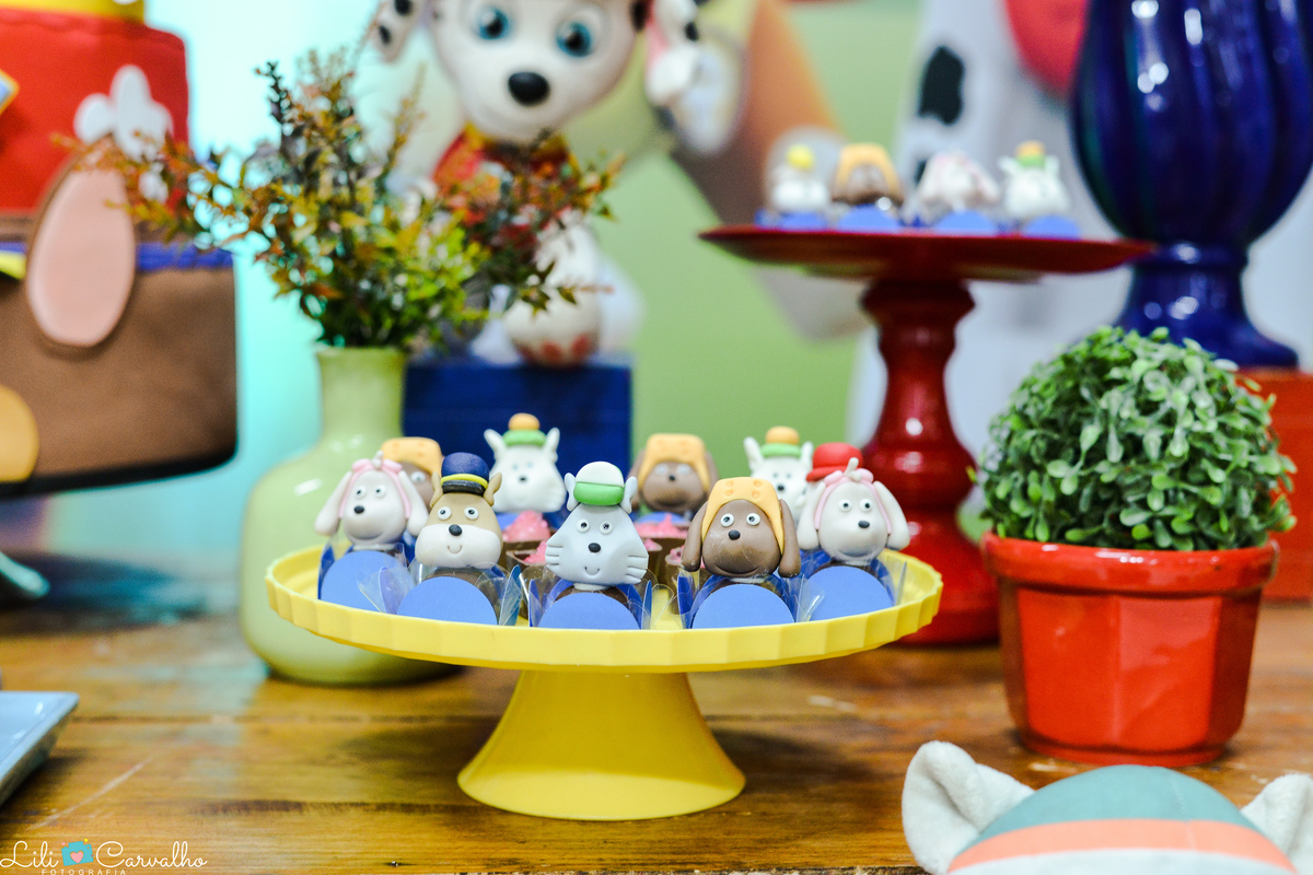 fotografia de aniversario infantil em Maringa decoracao 10