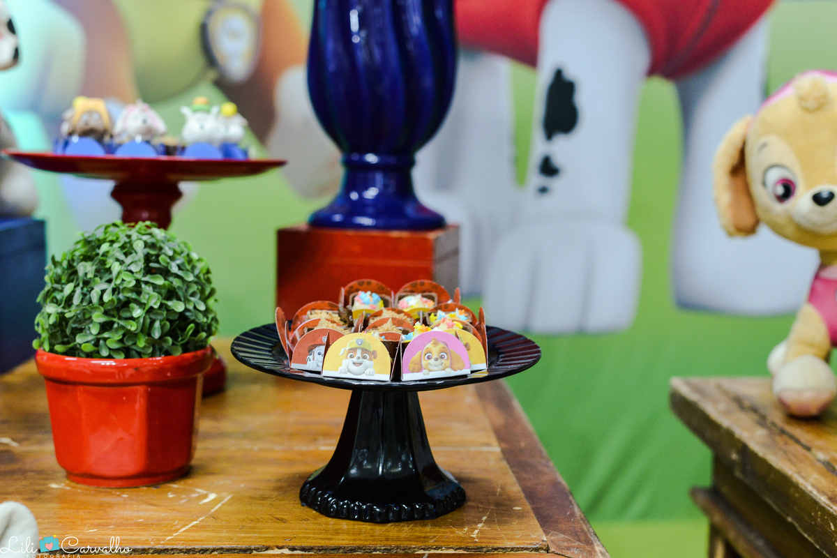 fotografia de aniversario infantil em Maringa decoracao 11