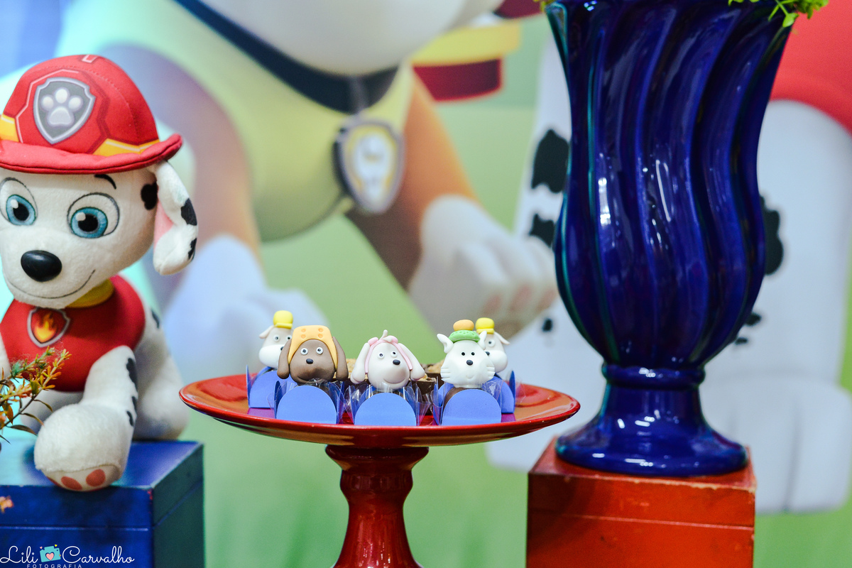 fotografia de aniversario infantil em Maringa decoracao 12
