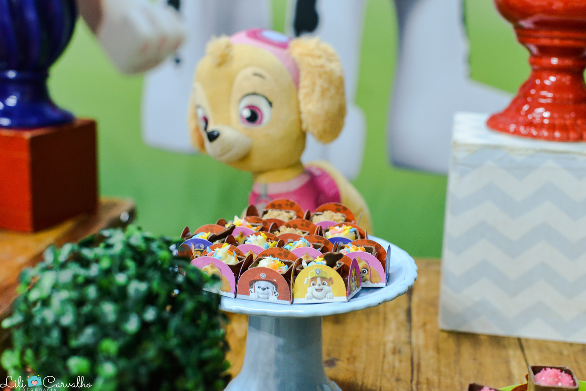 fotografia de aniversario infantil em Maringa patrulha canina 