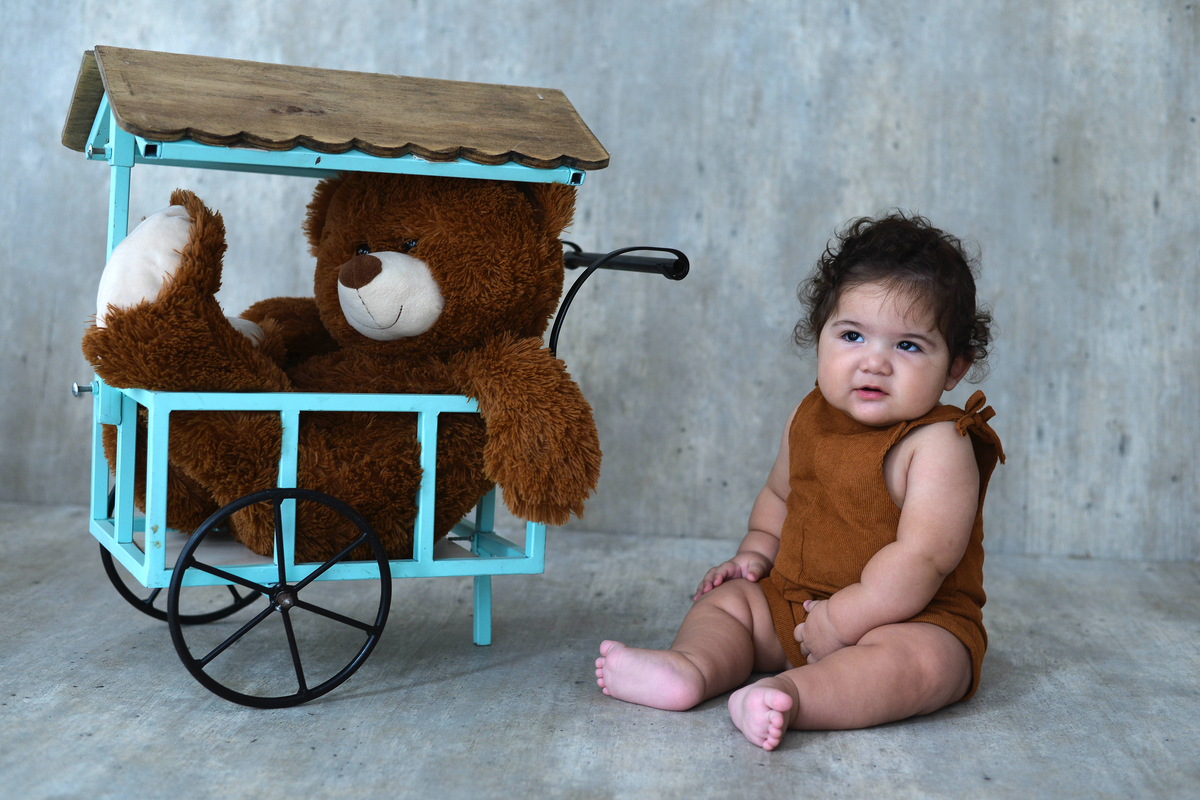 ensaio fotografico de bebê tema urso