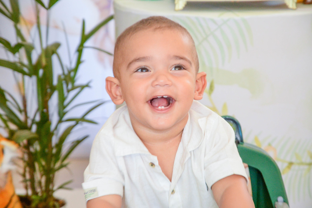 fotografia de aniversario de um ano de menino tema safari