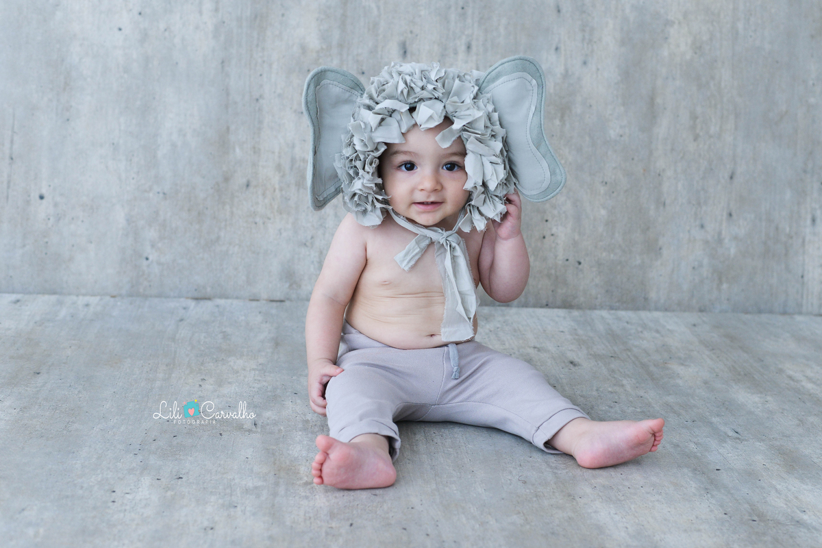 Ensaio fotográfico de bebe em Maringá  elefante cinza 