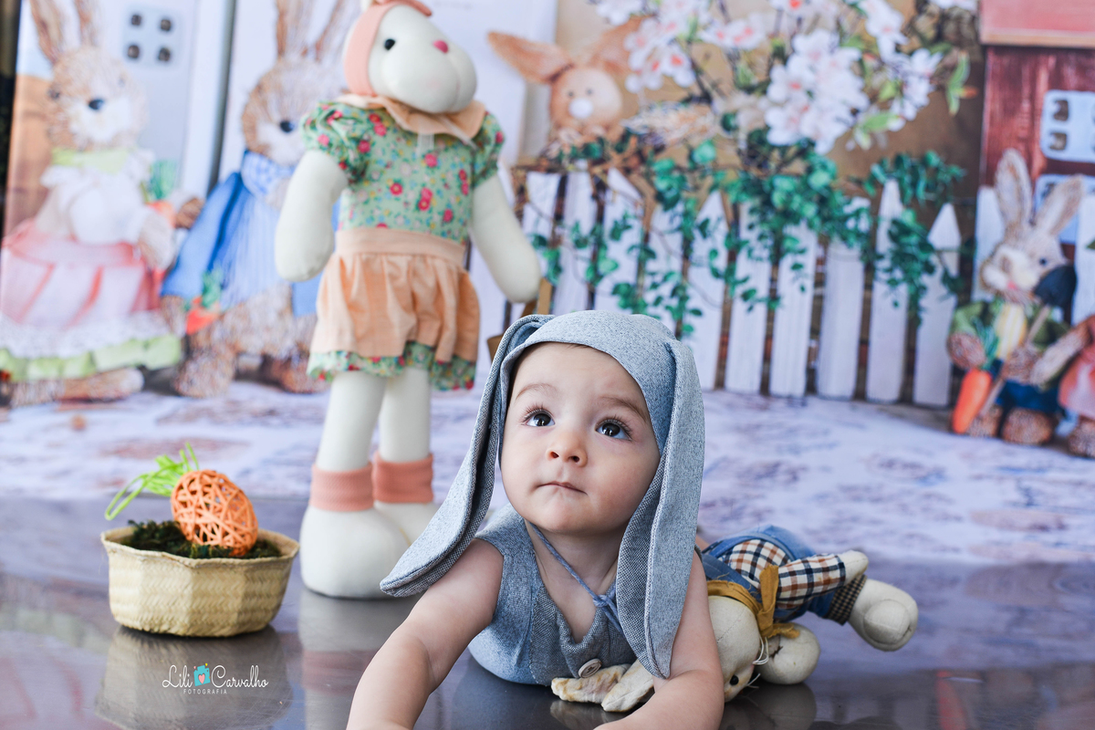 foografia de bebê no tema de páscoa realizado em Maringá engatinhando