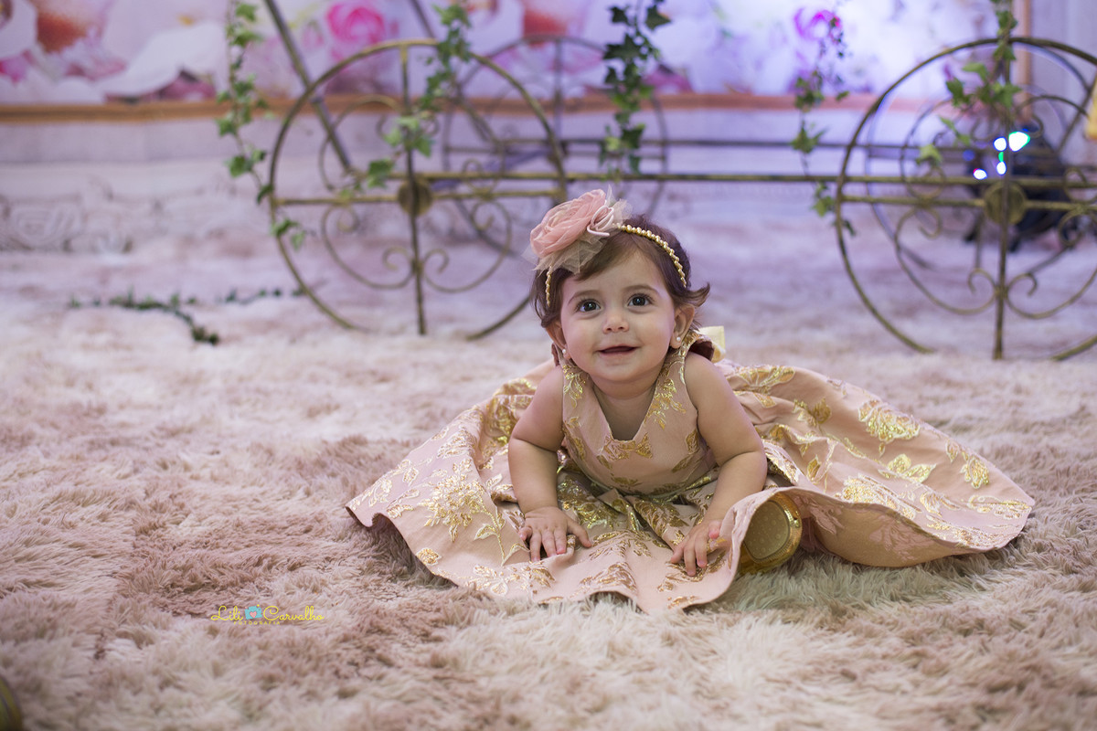 melhor fotografa newborn lili