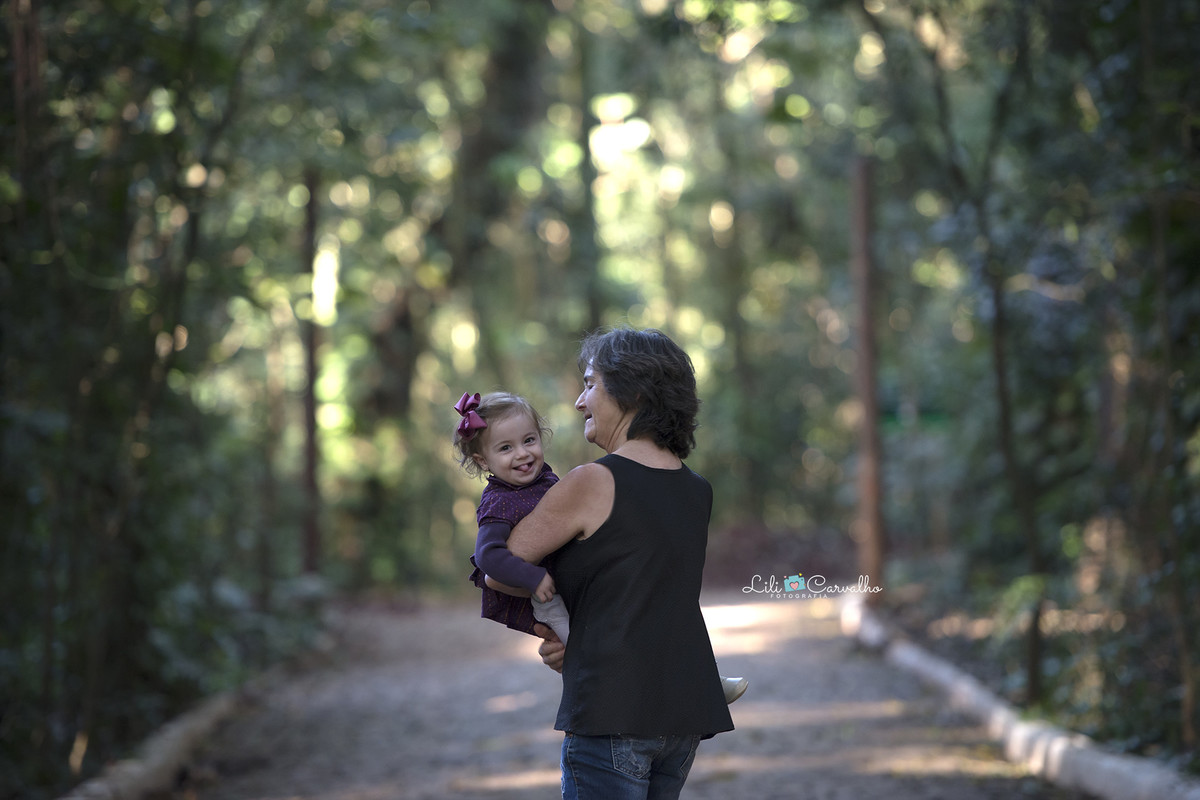 diadosavos lilicarvalho