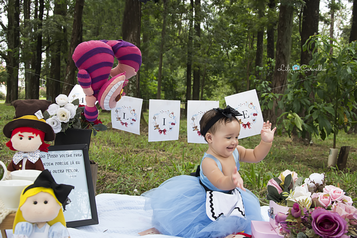 #mashthecake #smashthecakemaringa #lilicarvalho #lilifotografia #fotocombolo #umaninho #fotodestruindobolo #alicepaisdasmaravilhas 