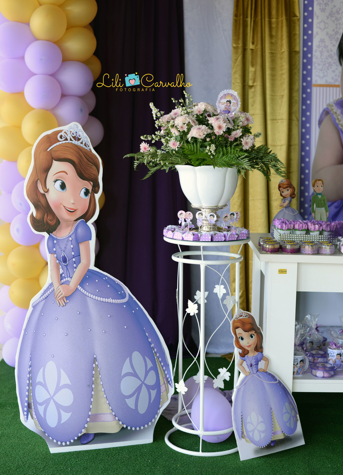 lilicarvalho lilifotografia