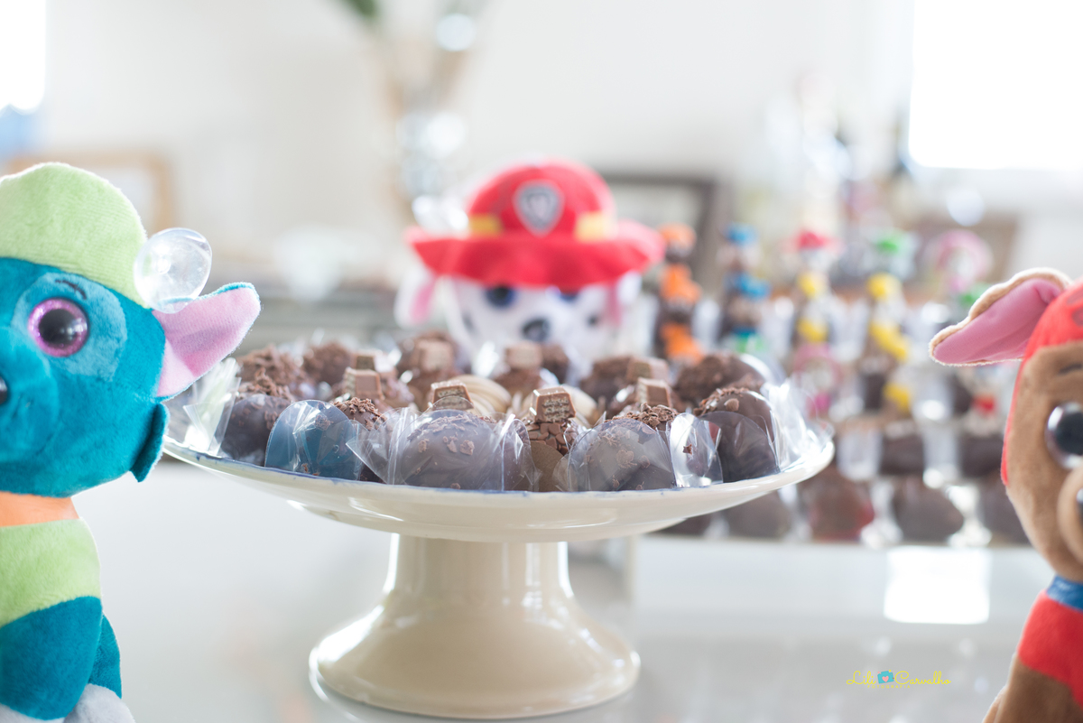 #lilicarvalho #aniversarioinfantil #aniversariodecrianca #fotogestante #fotonewborn #melhorfotografademaringa 