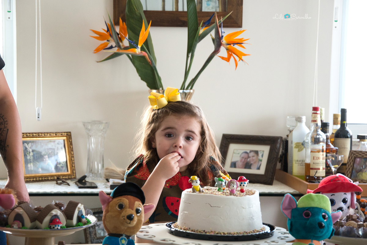 #lilicarvalho #aniversarioinfantil #aniversariodecrianca #fotogestante #fotonewborn #melhorfotografademaringa 