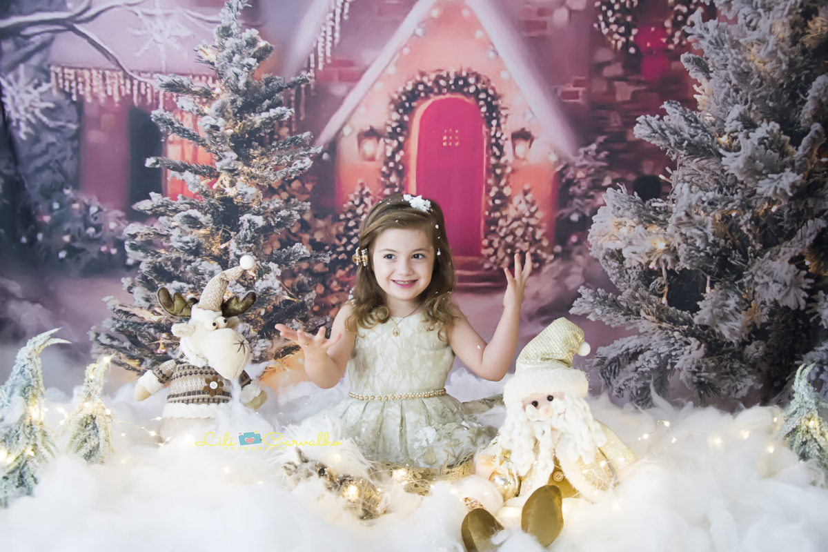 #melhornataldemaringa #natalencantada #lilicarvalho #lilifotografia #newborn #melhorgestantedemaringa #vestidovermelho #poltronavermelha #linda #neve #nataldenevemaringa