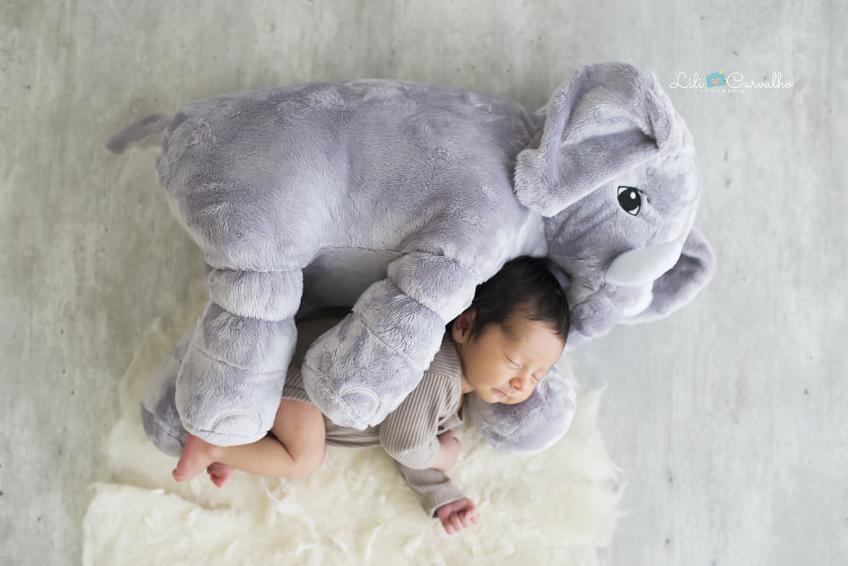 #lilicarvalho #lilifotografia #ensaiodegemeos #fotodupla #fotodedois #casalrecemnascido #melhorfotografademaringa #especialistaembebe #recemnascido #gravida #gestante 