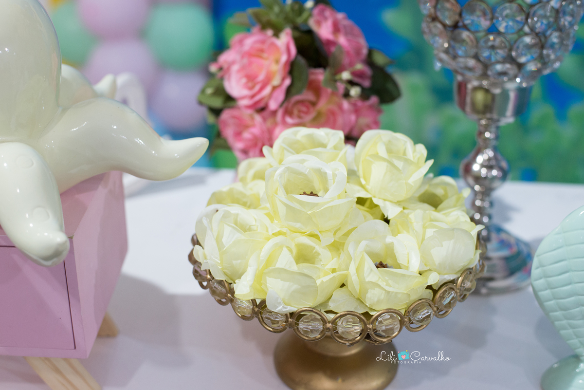 #lilicarvalho #lilifotografia #aniversario #festainfantil #newborn #gestante #gravida #melhorfotografademaringa #festatematica #acompanhamentodebebe #fotografacuidadosa #decoracaolinda #maternidade #mamadeira #parto #chupeta 