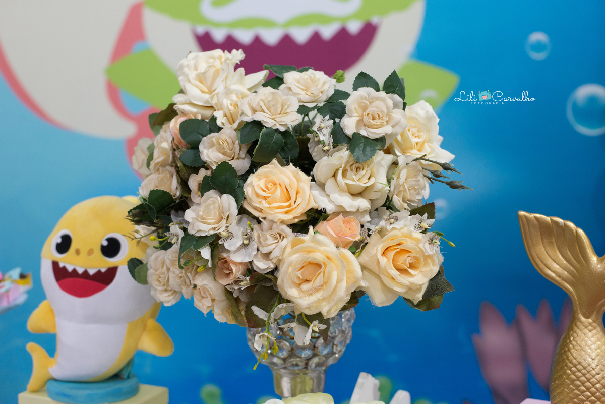 #lilicarvalho #lilifotografia #aniversario #festainfantil #newborn #gestante #gravida #melhorfotografademaringa #festatematica #acompanhamentodebebe #fotografacuidadosa #decoracaolinda #maternidade #mamadeira #parto #chupeta 