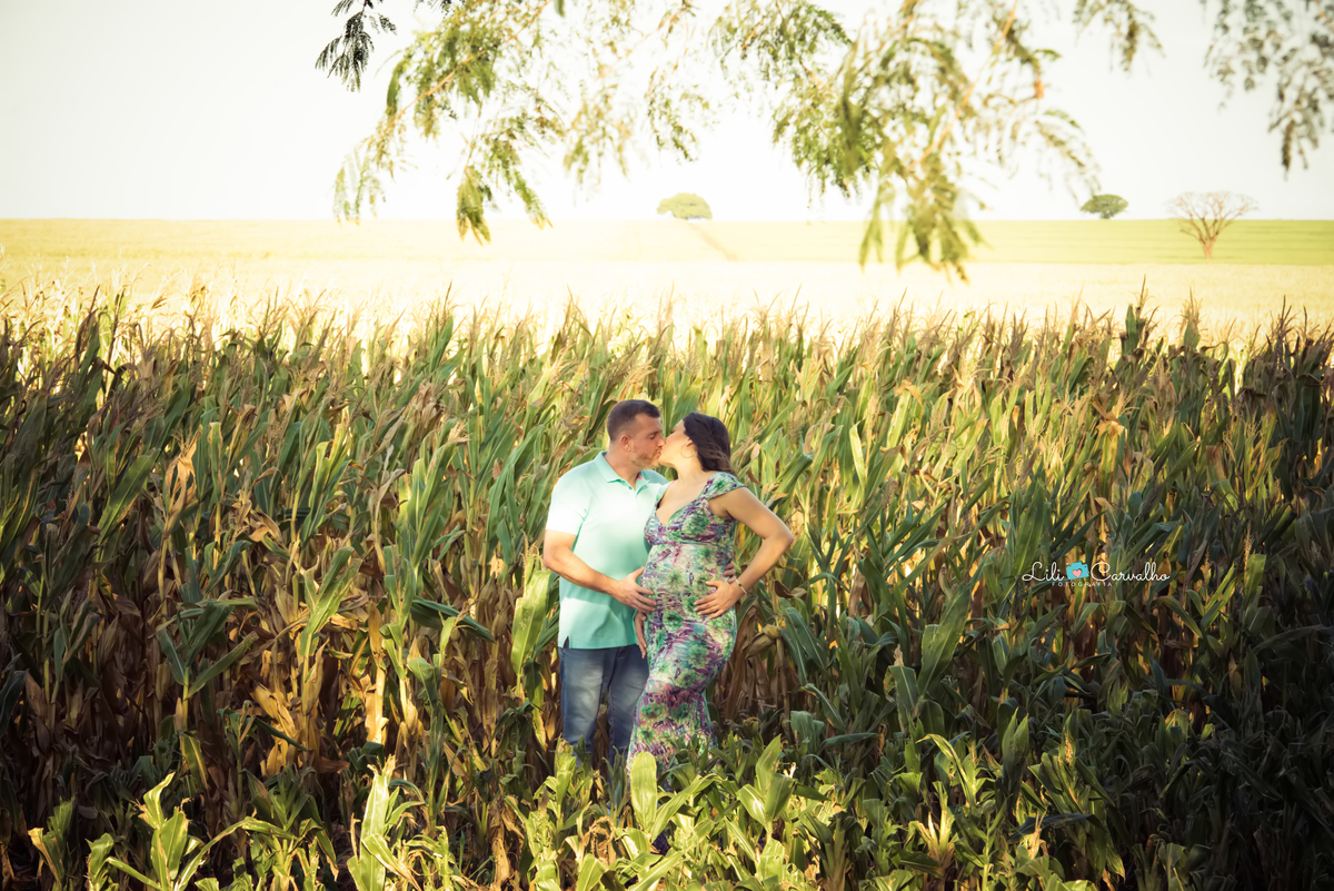 fotografia de gestante no sitio em Maringá  milharal 