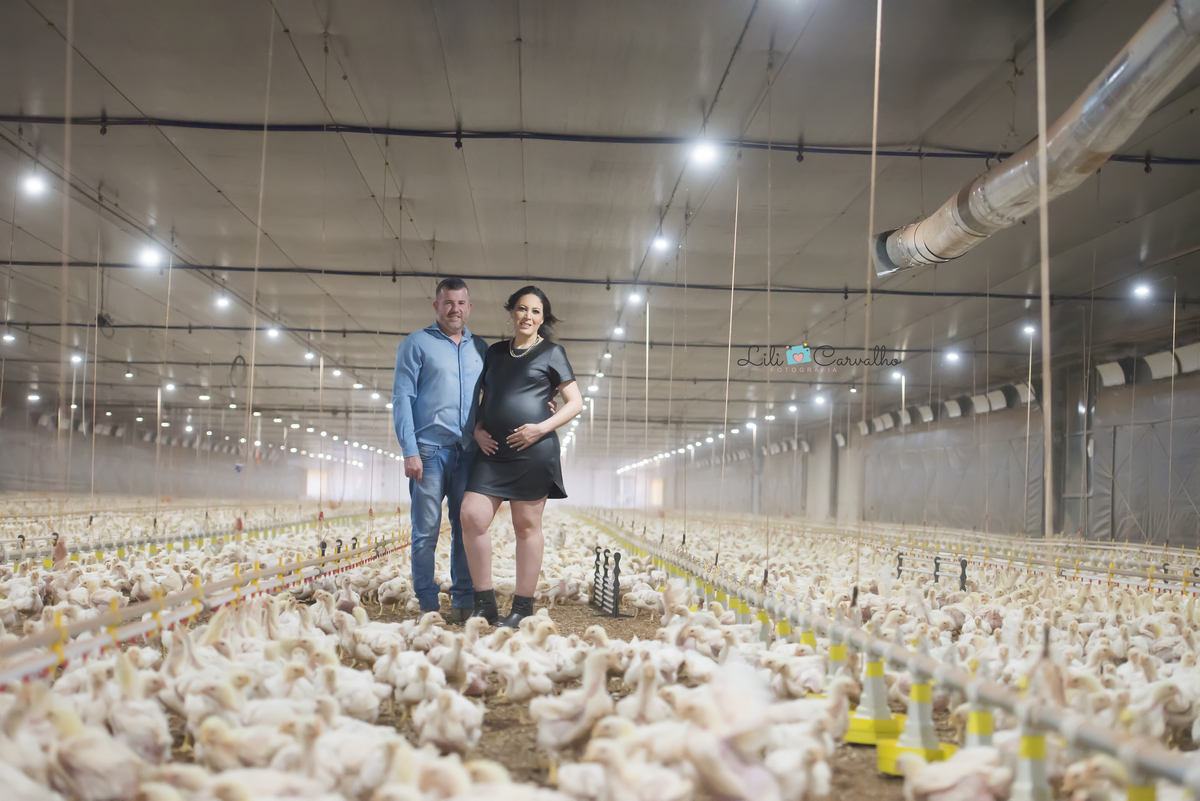 fotografia de gestante no sitio em Maringá  com pintinhos 