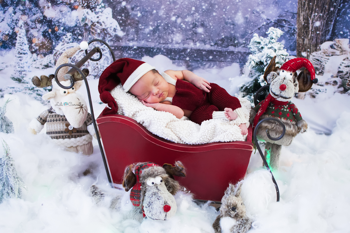 fotografia de newborn realizado em estúdio em Maringá  tema natal 2 