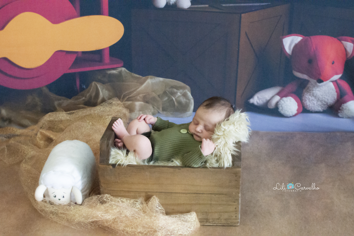 fotografia newborn em estudio em Maringá pequeno principe 