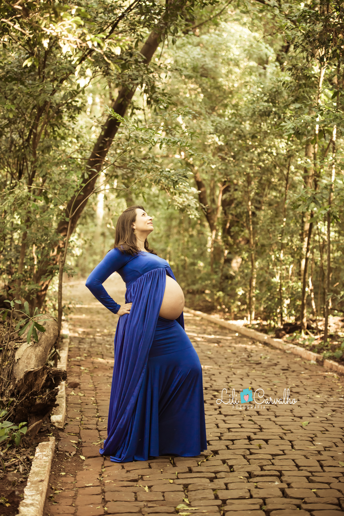 fotografia gestante no parque do Ingá, Maringá vestido azul, olhando para cima