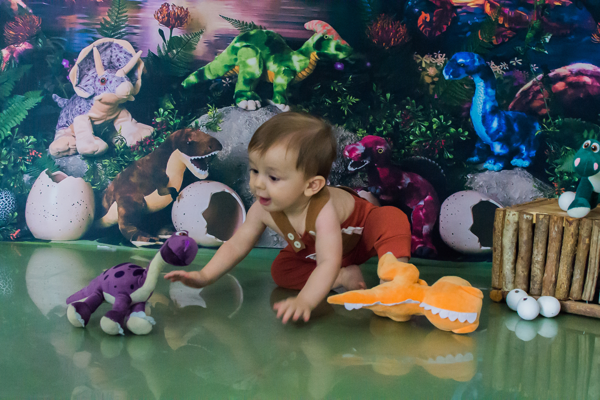 Ensaio fotografico de bebê em Maringá  tema dinossauro  