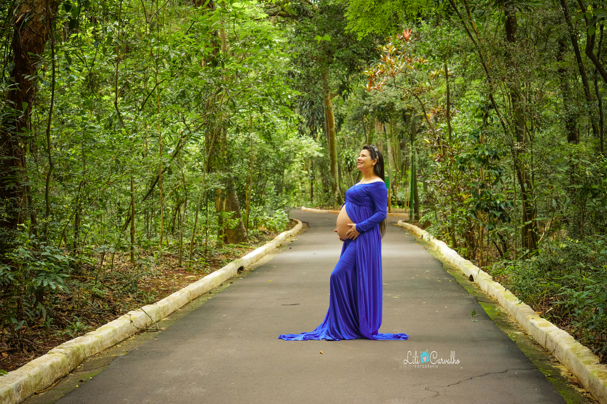 ensaio gestante em Maringá, em local externo, parque do ingá vestido azul