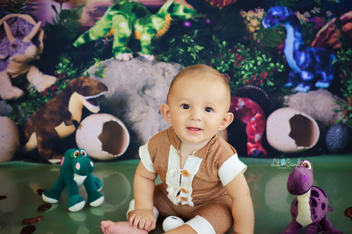 #acompanhamentomensal #temadinossauro #dinossauro #lilicarvalho #acompanhamentoinfantil #menino #ensaiodemenino #lilifotografia #ensaiofotografico 