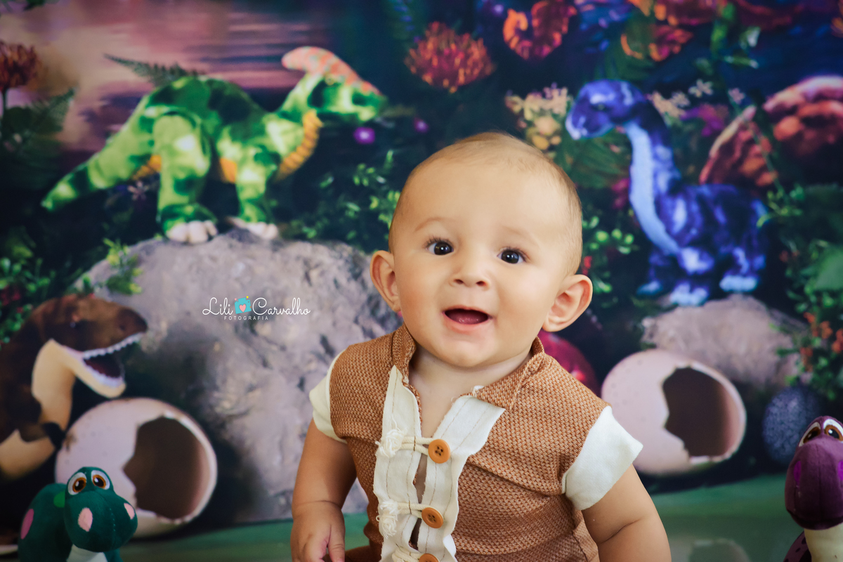 #acompanhamentomensal #temadinossauro #dinossauro #lilicarvalho #acompanhamentoinfantil #menino #ensaiodemenino #lilifotografia #ensaiofotografico 
