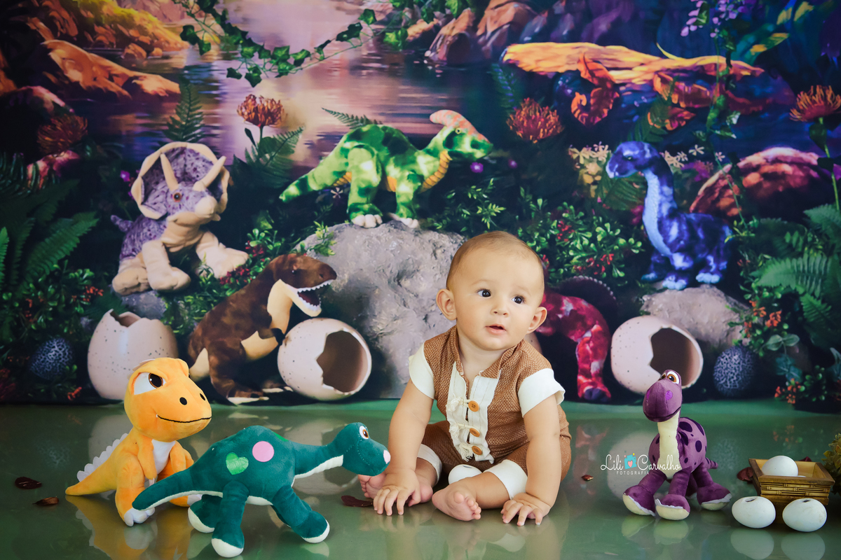 #acompanhamentomensal #temadinossauro #dinossauro #lilicarvalho #acompanhamentoinfantil #menino #ensaiodemenino #lilifotografia #ensaiofotografico 