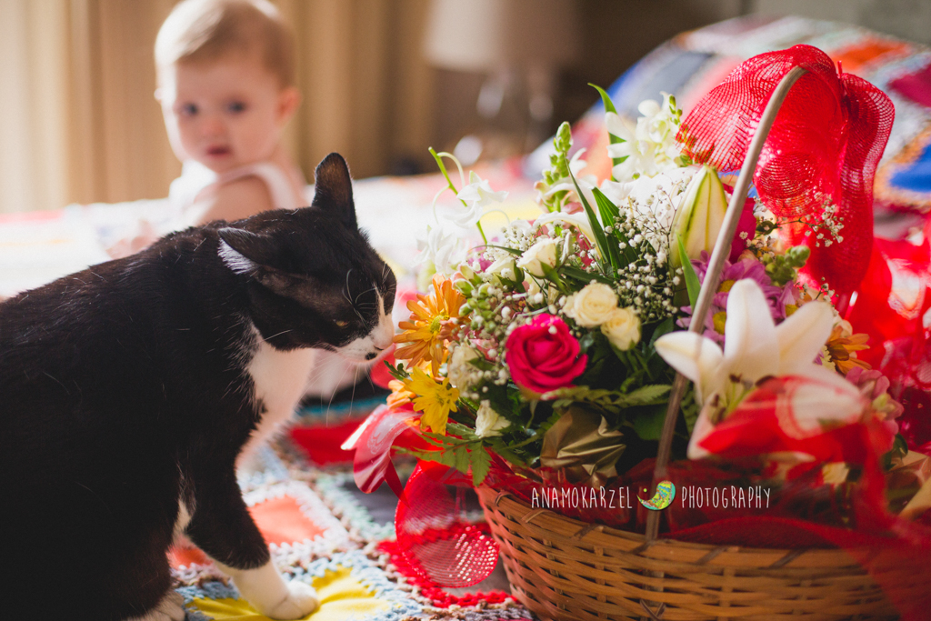 book infantil - book de acompanhamento - ensaio fotográfico - Projeto Luz - fotógrafa de familia - fotógrafa de newborn - fotografia de família - anamokarzelfotografia - Ana Mokarzel - Belém - Pará