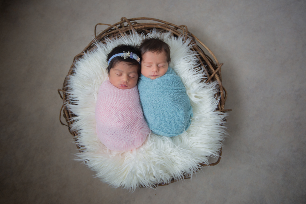 book newborn - ensaio newborn - fotografia newborn - Newborn Belém - Ana Mokarzel - fotógrafa de newborn - newborn de gêmeos - fotógrafa de família - fotografia de família - anamokarzelfotografia