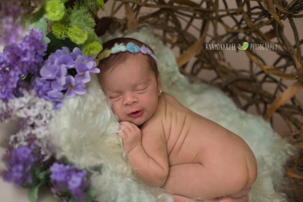 Book newborn - ensaio newborn - Fotógrafa de newborn - fotógrafa de família - fotografia de bebê - fotografia newborn - Ana Mokarzel - anamokarzelfotografia - Belém - Pa - Pará