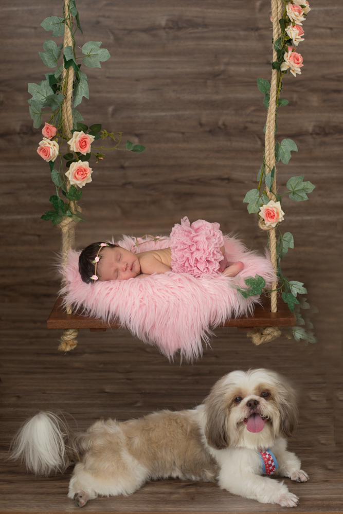 newborn - recém nascida - recém nascido - bebê - anamokarzel - Ana Mokarzel - book newborn - newborn Belém - newbornbelem - fotografo de newborn - Fotografo Belém - fotografo de família  cachorro