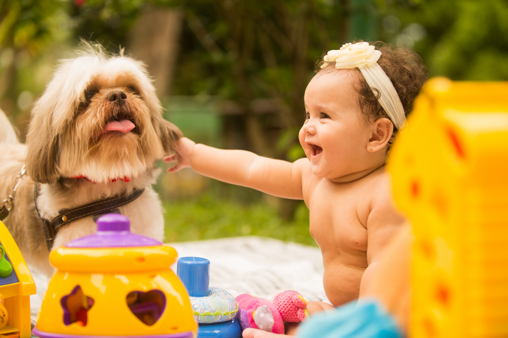 acompanhamento - book infantil - kids - bebê - criança - Ana Mokarzel - 6 meses - mãe de menina - projeto luz - anamokarzel