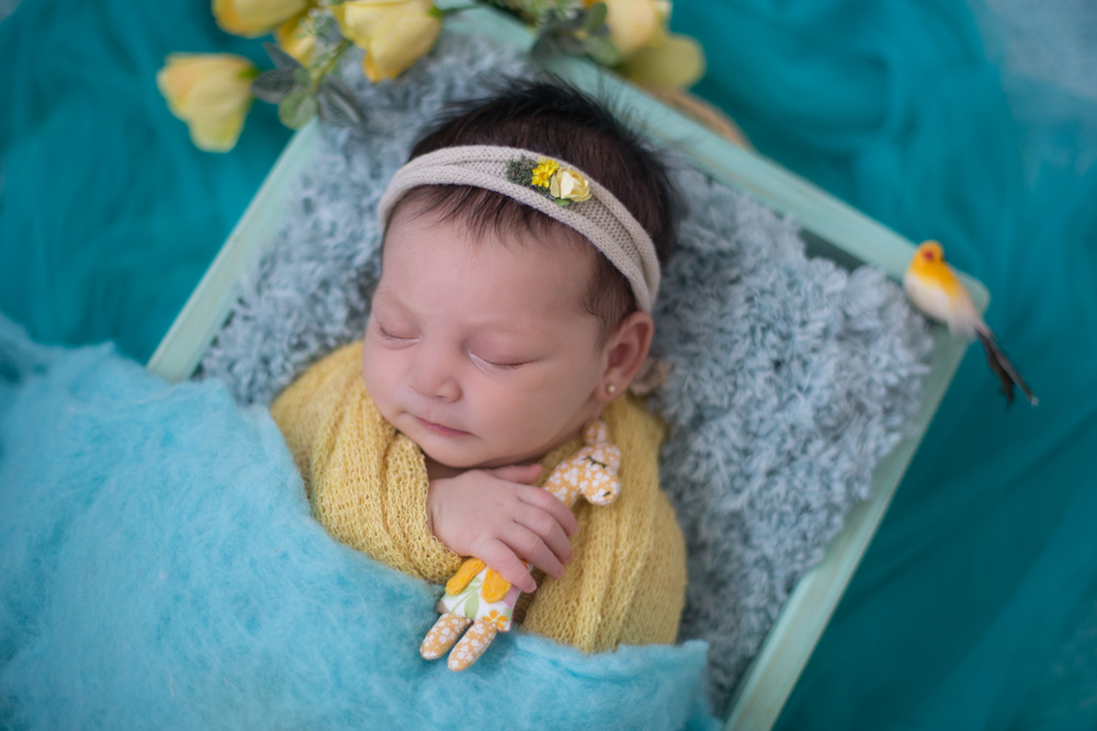 a bebê e sua amiguinha, em seu ensaio newborn, feito por Ana Mokarzel em Belém do Pará