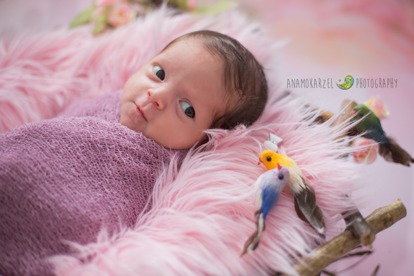 book newborn - bebezinha linda, em seu ensaio newborn, feito por Ana Mokarzel em Belém do Pará