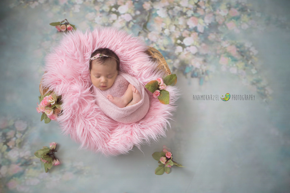 newborn - book newborn - Ana Mokarzel - Luma - ensaio newborn - Belém - Pará - bebê no cestinho