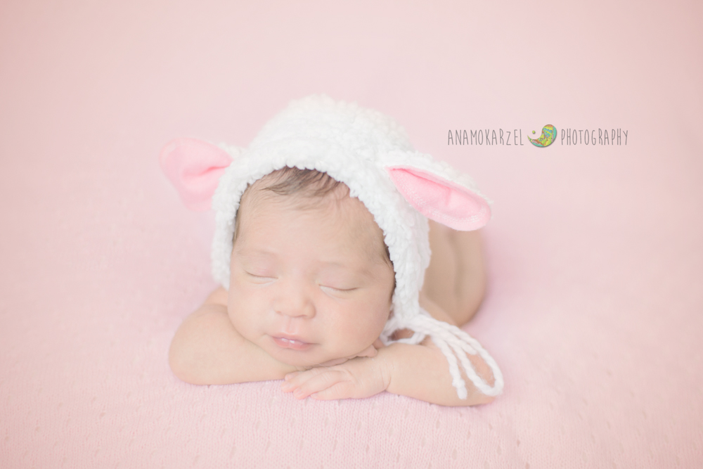 newborn - book newborn - Ana Mokarzel - Luma - ensaio newborn - Belém - Pará - bebê no cestinho