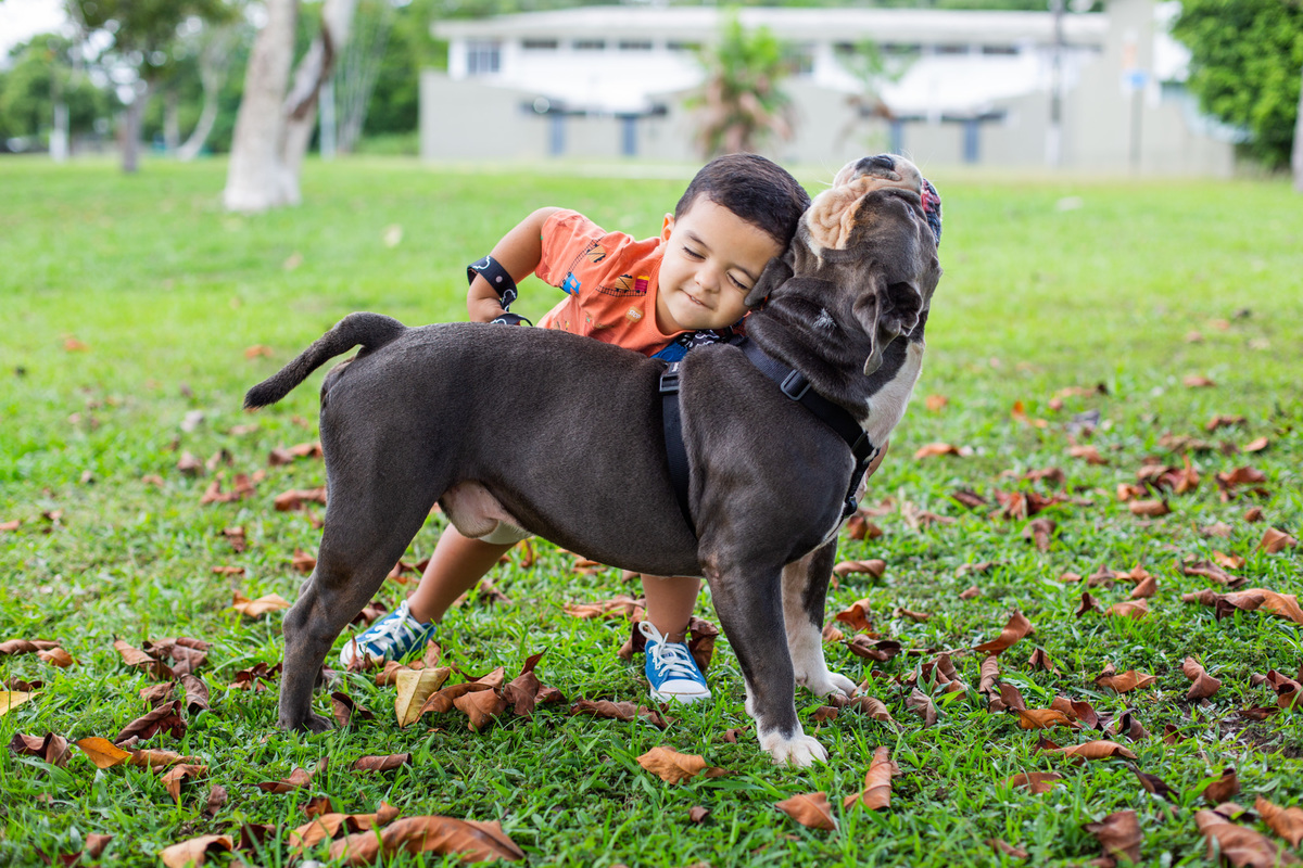 anamokarzel fotografia - ensaio familia - ensaio familia belem - ensaio infantil -fotografa de familia - fotógrafos de belem - Belém - Pará